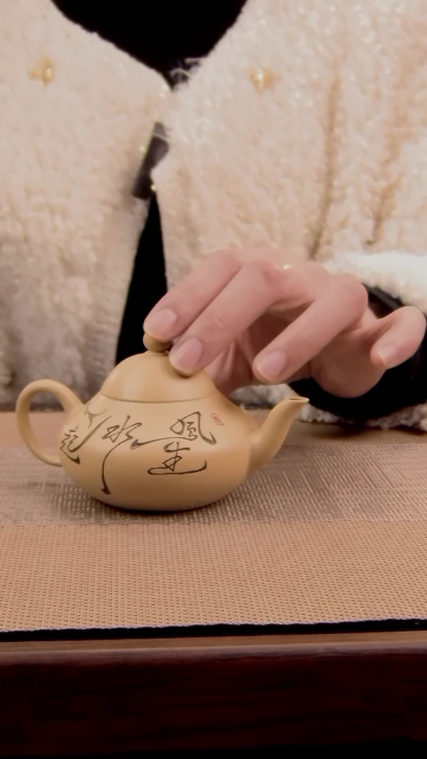 原矿本绿风生水起紫砂壶22