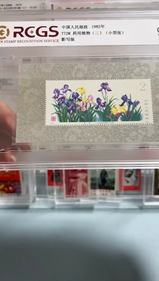 T72m植物型张中钱盒装