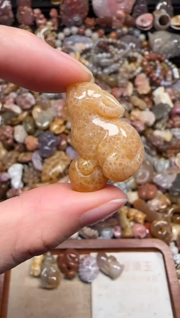 颈饰未镶嵌硅化珊瑚（珊瑚玉）179