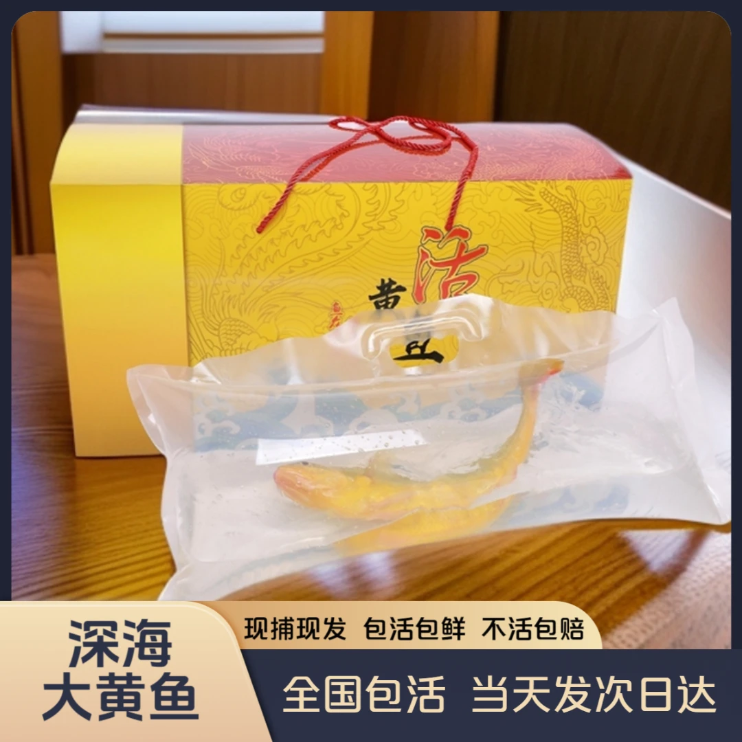 活黄花鱼大黄鱼新鲜活黄鱼深海鲜活直达宴请佳品高端礼品包活到家