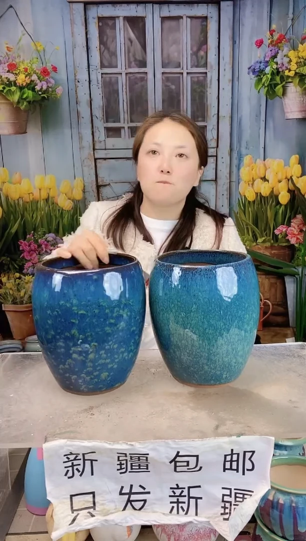 036蓝色蛋形l两个装 口14高19