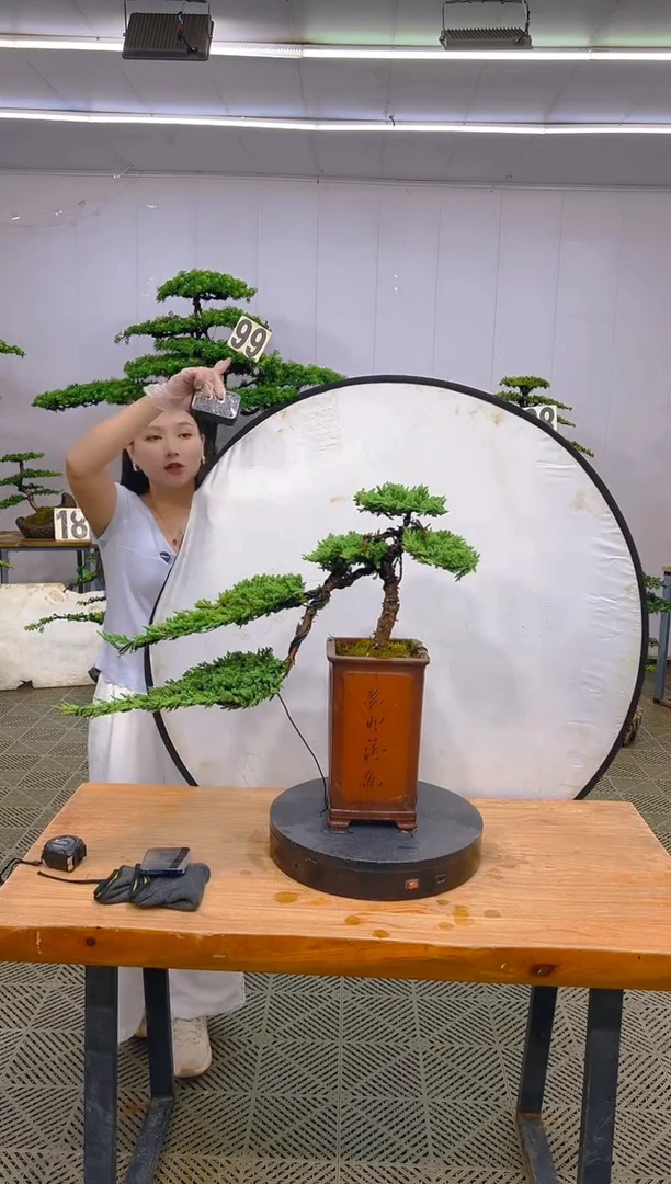 无花朵一物一拍一物一拍