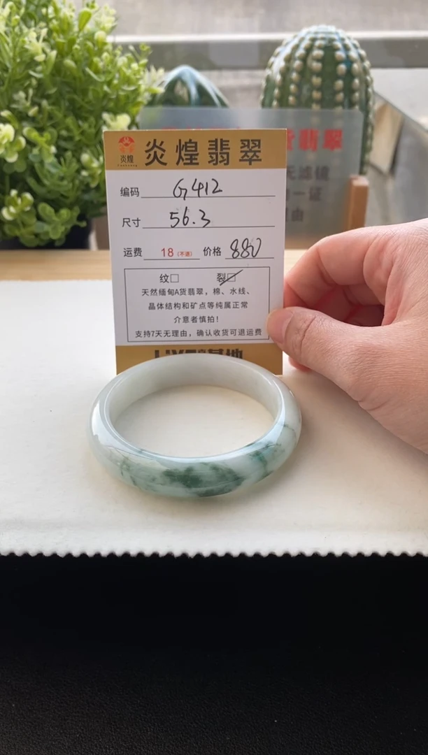未镶嵌手镯翡翠圈口56.3编码g412