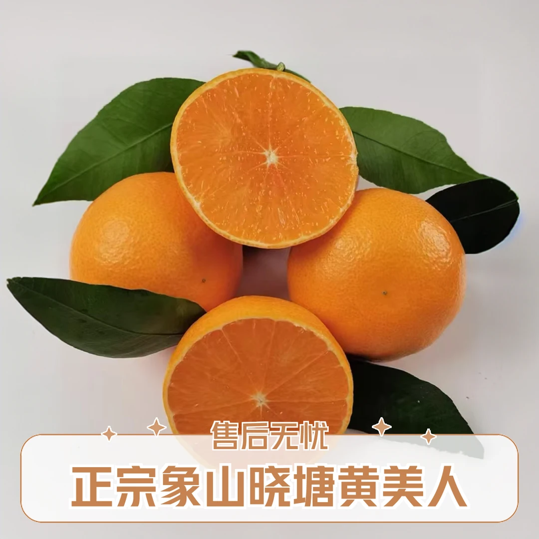 (小果）家庭装象山晓塘黄美人爱媛68柑橘鲜甜多汁皮薄脆爽