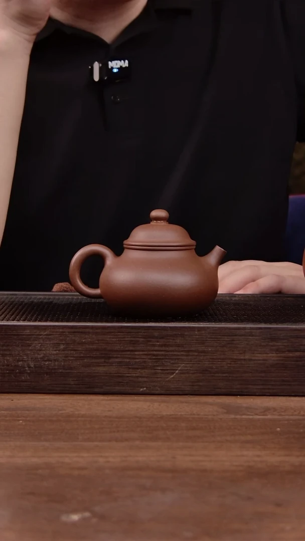 茶壶紫砂任**远紫泥容天！！！170CC