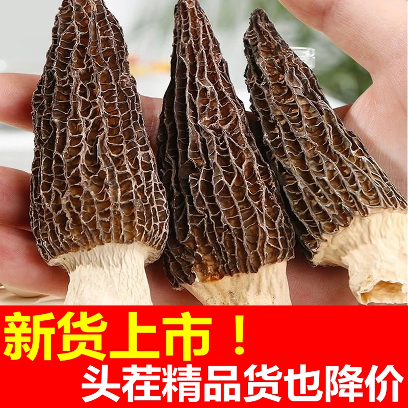 云南特产地直销精选头茬级羊肚菌干货高品质正品直播炖汤烹饪食材