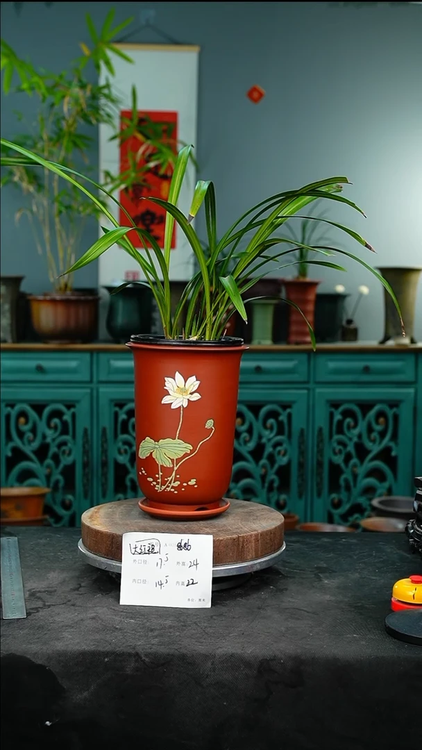 紫砂花盆8686+z紫砂花盆