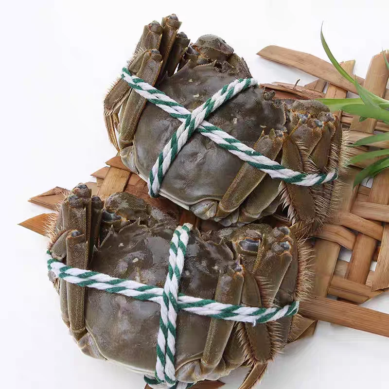 洪泽湖大闸蟹【活蟹】-江苏大闸蟹母3.2-2.8两*8只 顺丰包邮鲜活