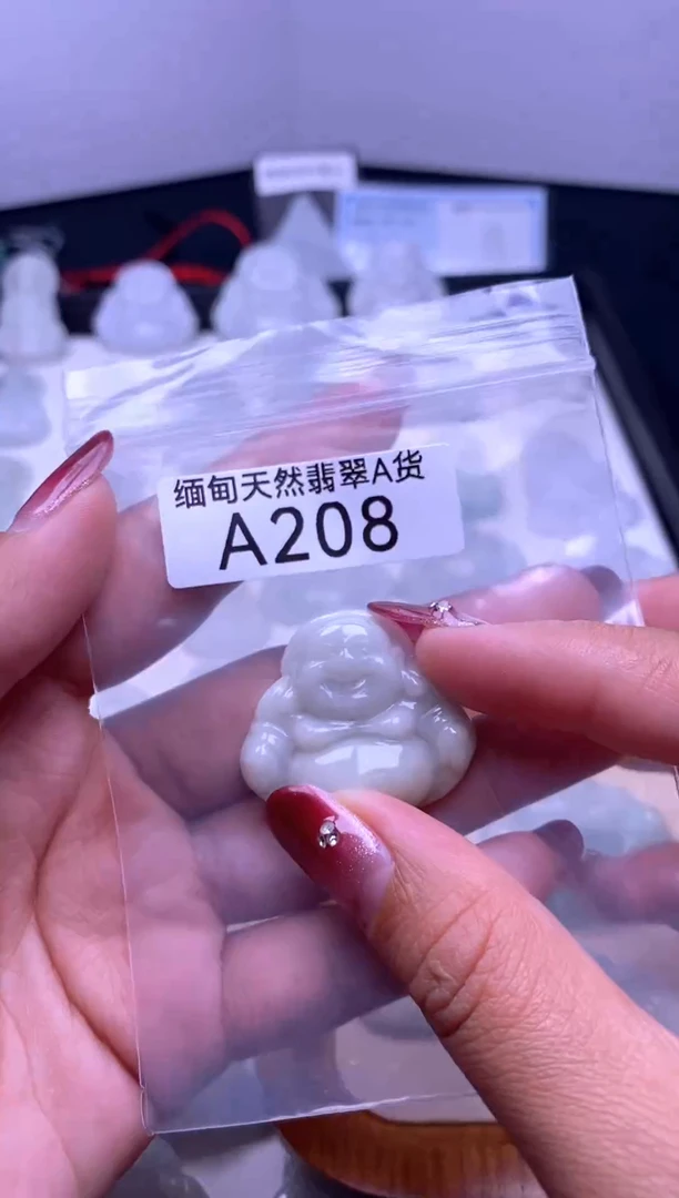 颈饰未镶嵌翡翠A208