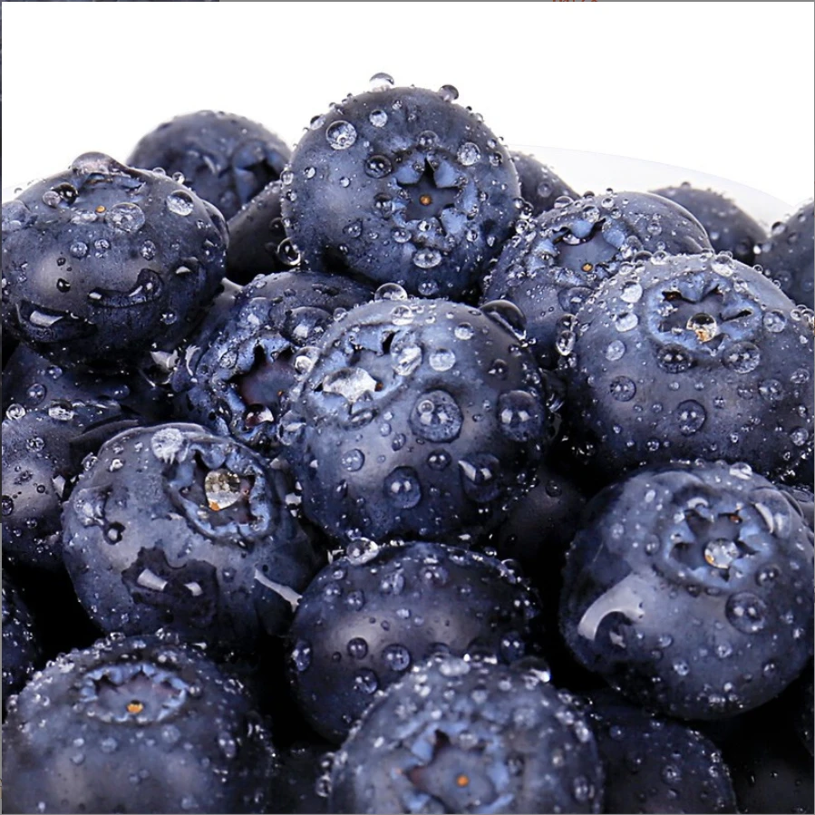 【东方好物】云南高山蓝莓鲜果礼盒现摘新鲜脆甜花香蓝莓特大果