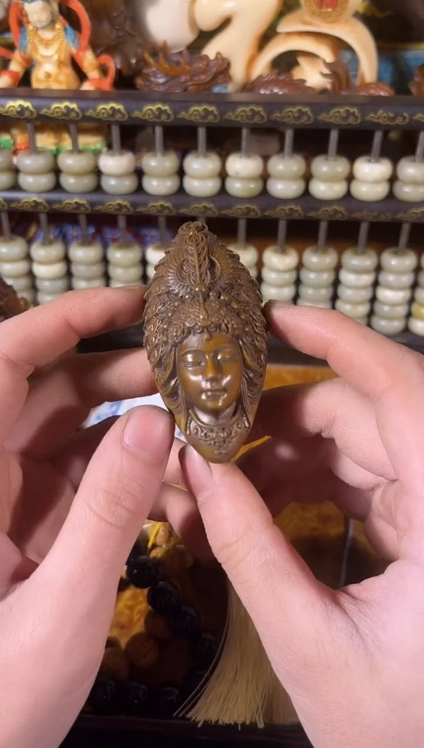 黄杨木11111111111