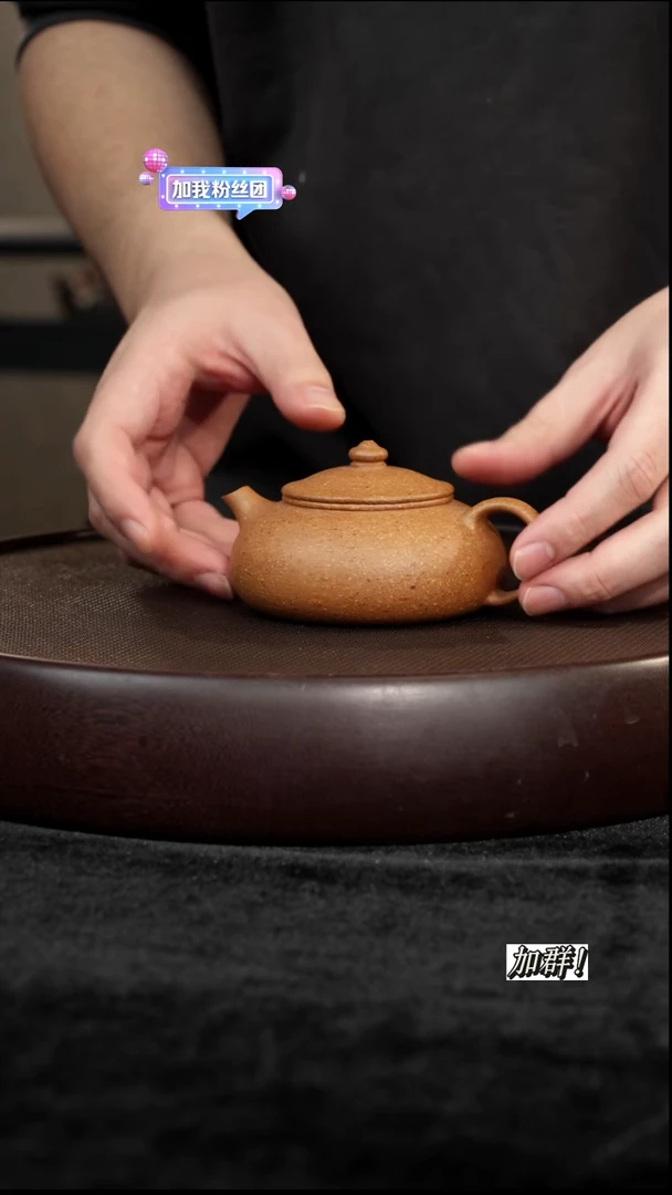 茶壶紫砂粗砂葵黄段寒江