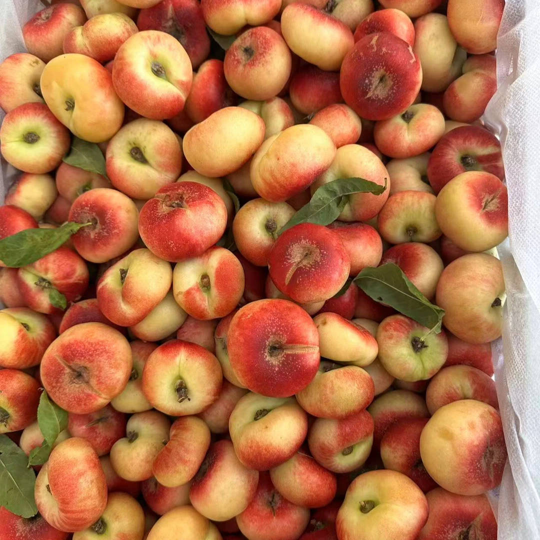 河北纽扣蟠桃新鲜桃子水果应季水果整箱应季软糯次日达当季新鲜水果桃子河北省
