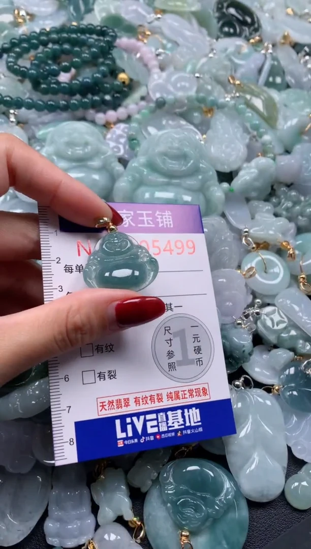 颈饰未镶嵌翡翠5499