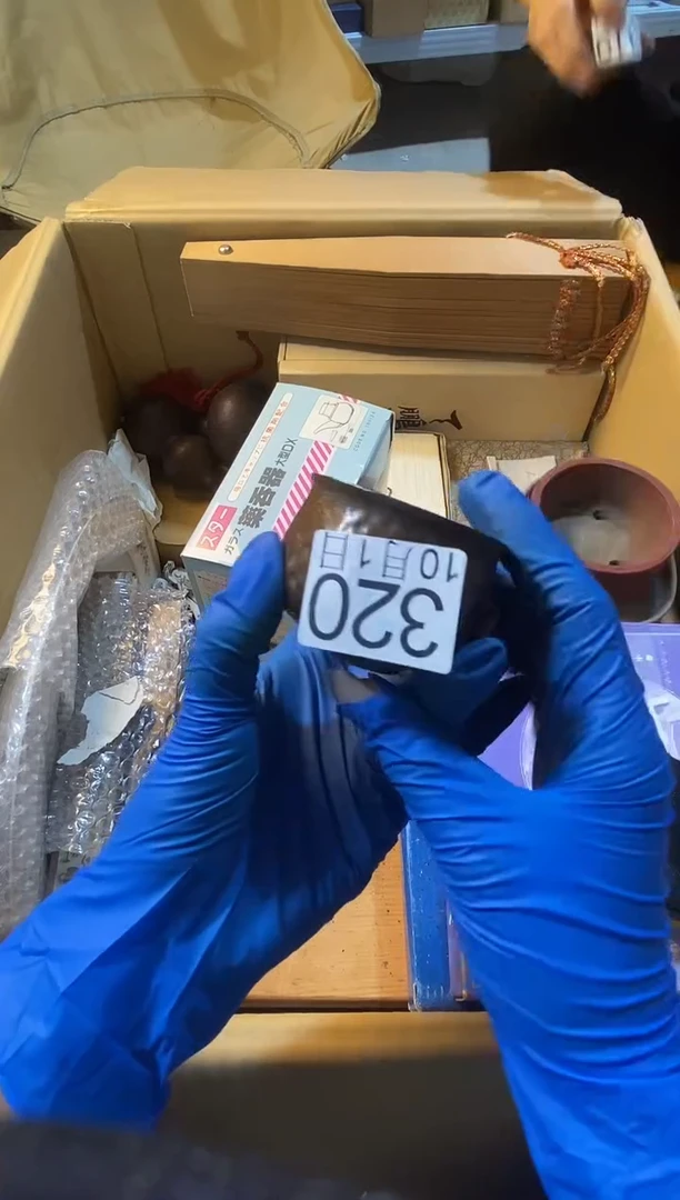 菲**忆111111111111