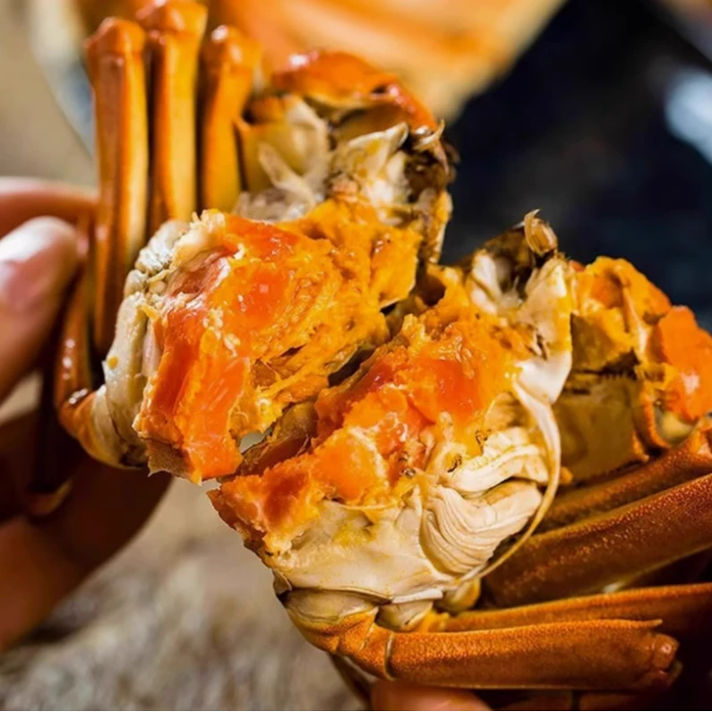 【活蟹】上街弟海鲜螃蟹江苏大闸蟹4.6-4.8两公蟹6只福州发货