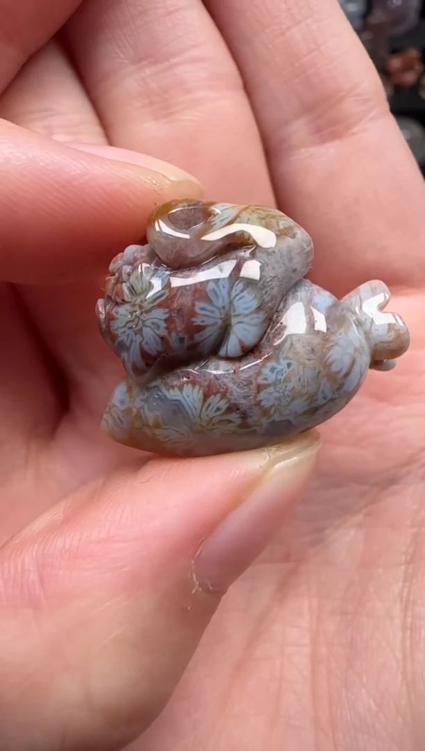 颈饰未镶嵌硅化珊瑚（珊瑚玉）342