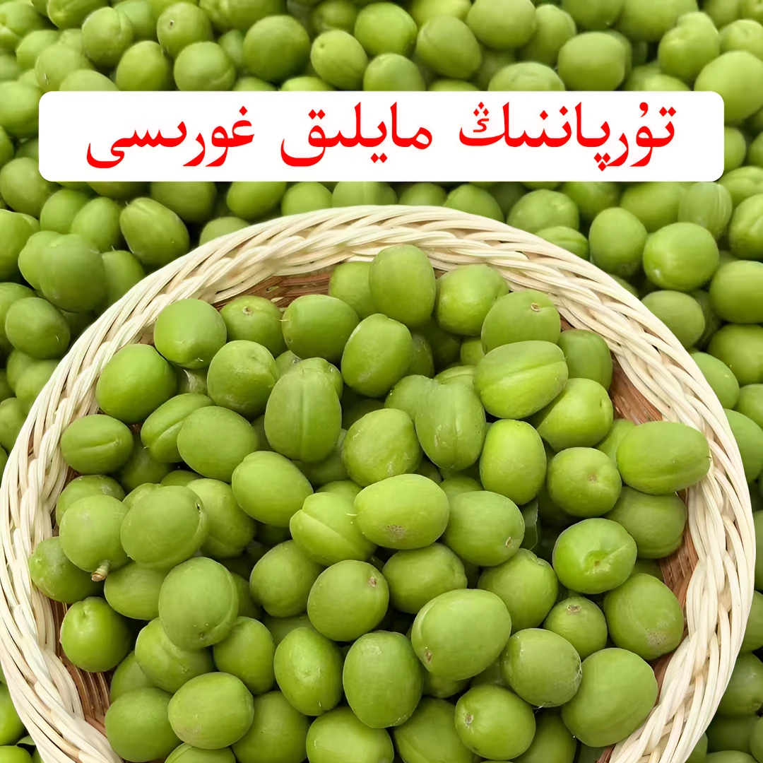 青杏子مايلىق غورا تۈكسز تەمى بەك پەيزىHoraتۇرپاننىڭ