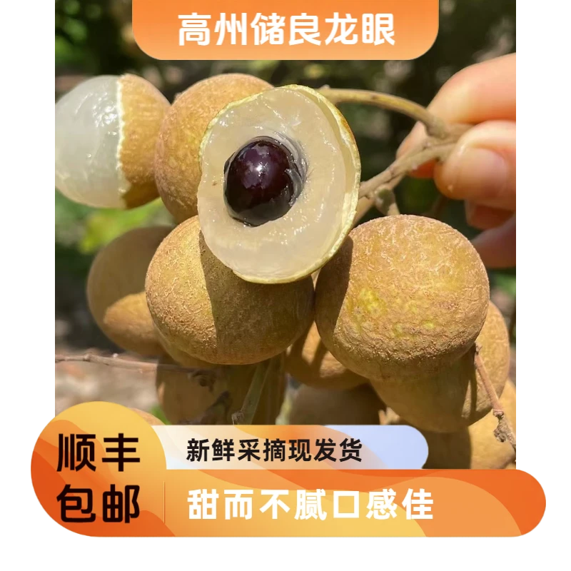 【顺丰包邮】储良龙眼茂名高州新鲜龙眼肉厚饱满香甜现摘现发