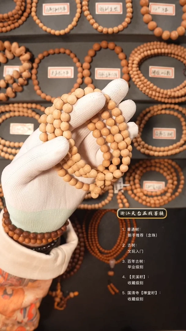 【闪购商品】五线菩提吊坠古树籽原皮脖挂8.5左右尺寸