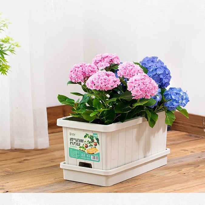 花博士阳台种菜盆专用箱长方形蔬菜种植盆户外自吸水草莓盆栽花盆