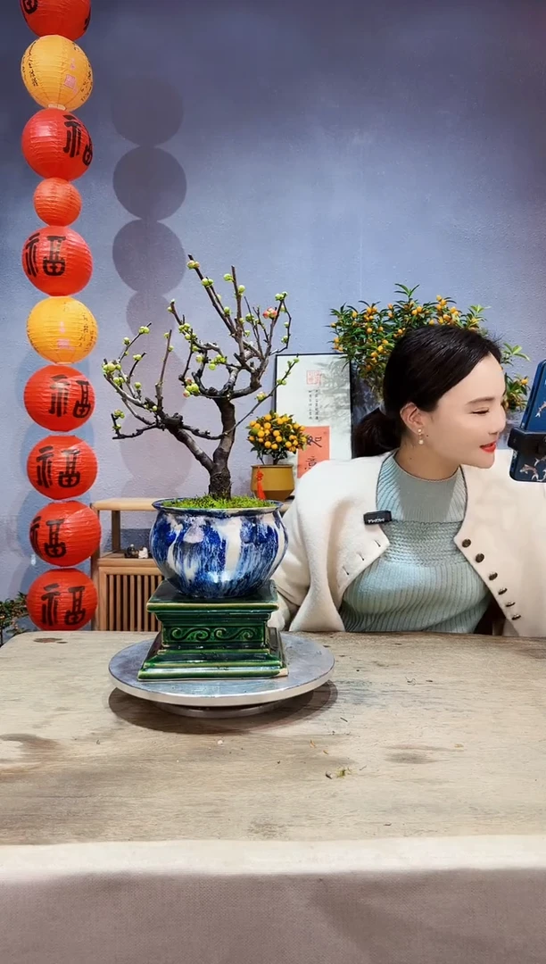 【闪购商品】盆景海棠 长寿冠