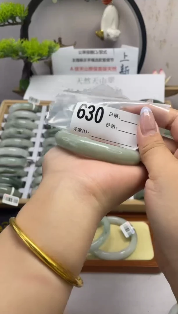 石英质玉（天山翠）手镯未镶嵌630