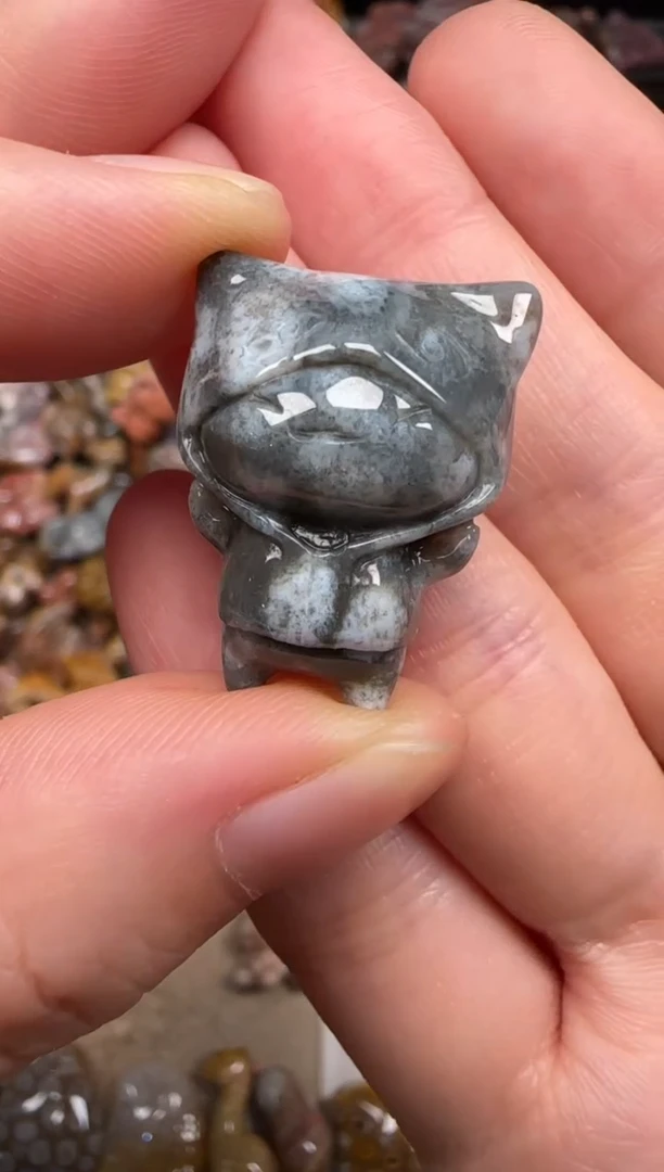 硅化珊瑚（珊瑚玉）未镶嵌颈饰514