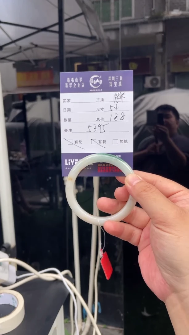 未镶嵌手镯翡翠W 54正圈 5395