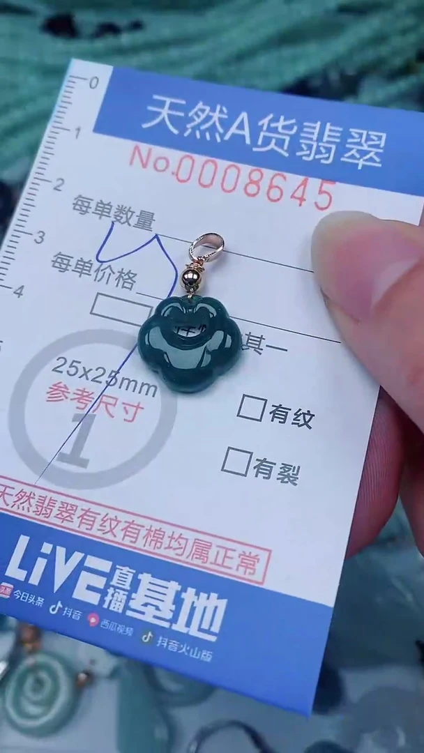 翡翠未镶嵌颈饰00008645