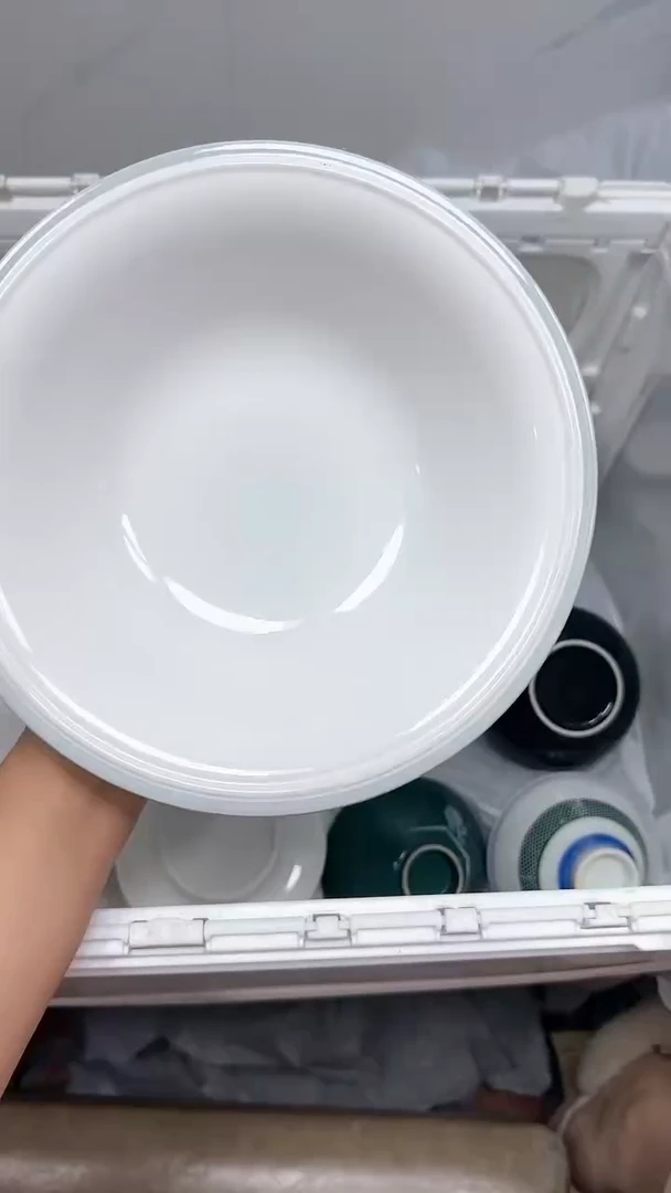 【闪购商品】504回流瓷器默认微瑕，18.8包邮