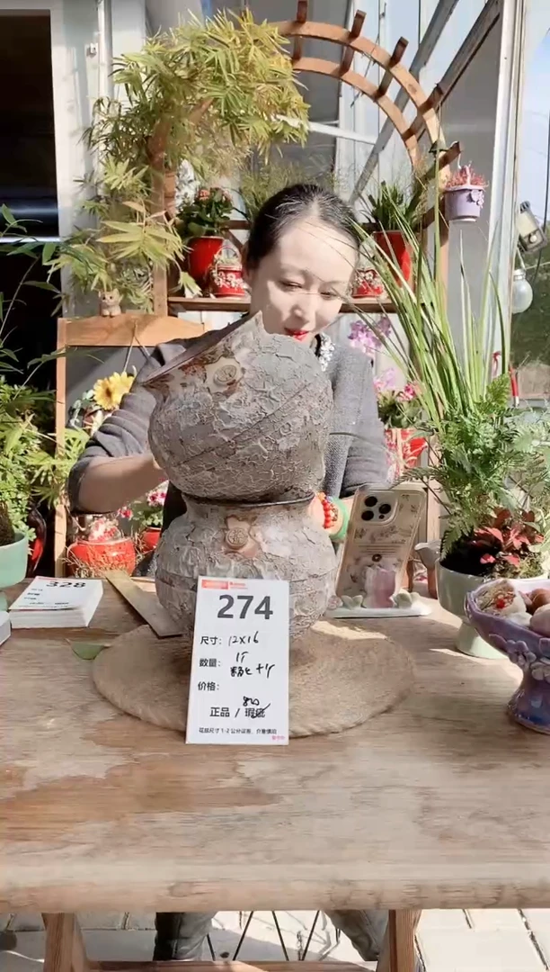 小玩子花盆直播编号274