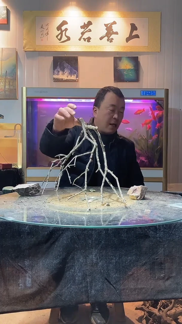 172号天然黄栎木