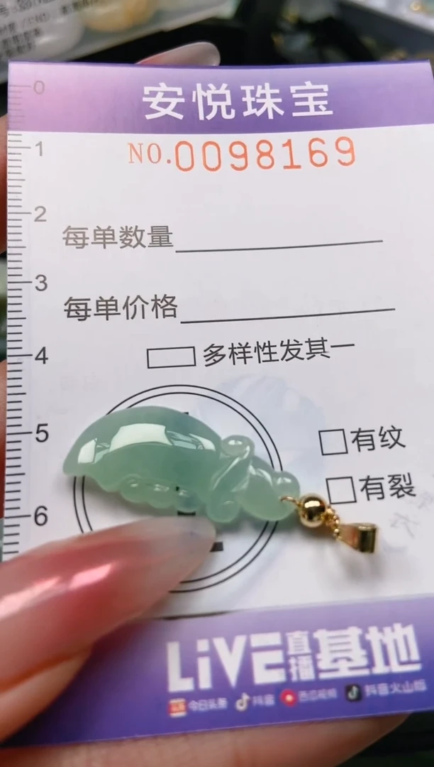 【闪购商品】翡翠颈饰未镶嵌闪购0098169