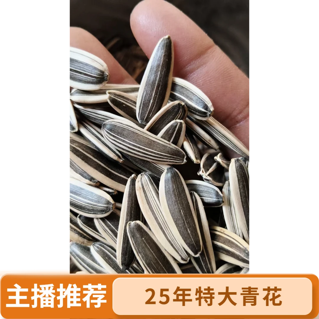 极品大青花生瓜子高端生瓜子25年新货