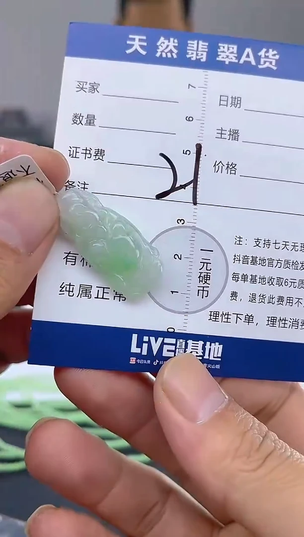 颈饰未镶嵌翡翠纯天然缅甸翡翠A货