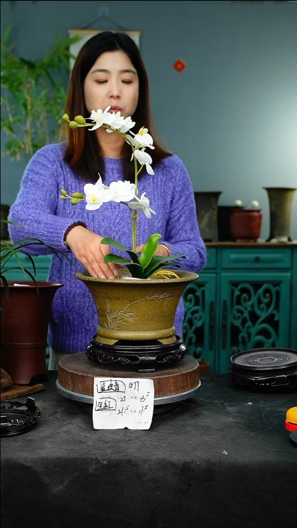 紫砂花盆1577+s紫砂花盆&