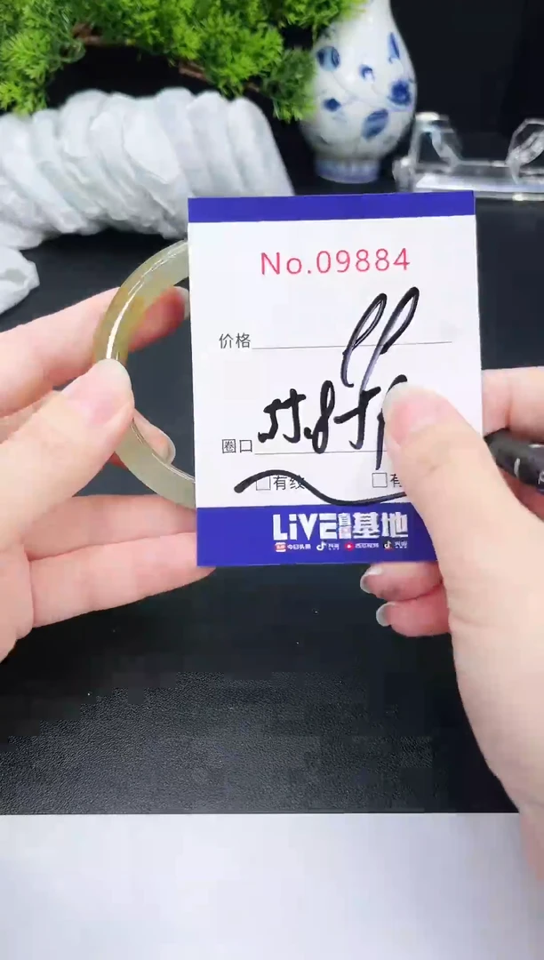 未镶嵌手镯翡翠9884