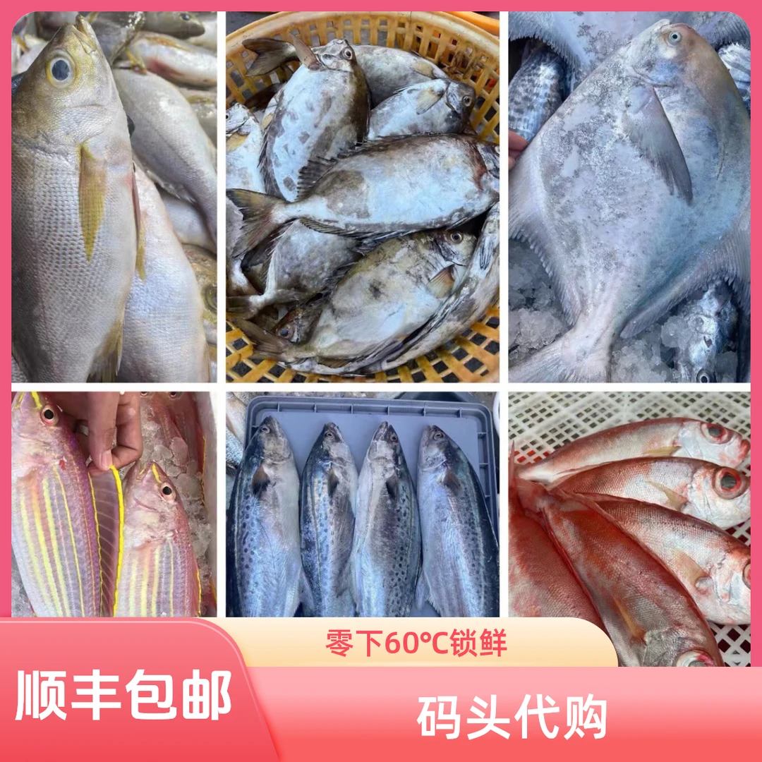 【梅姐】❷北海码头直播代买海鱼虾新鲜海捕（现拍现称 速冻锁鲜发货）