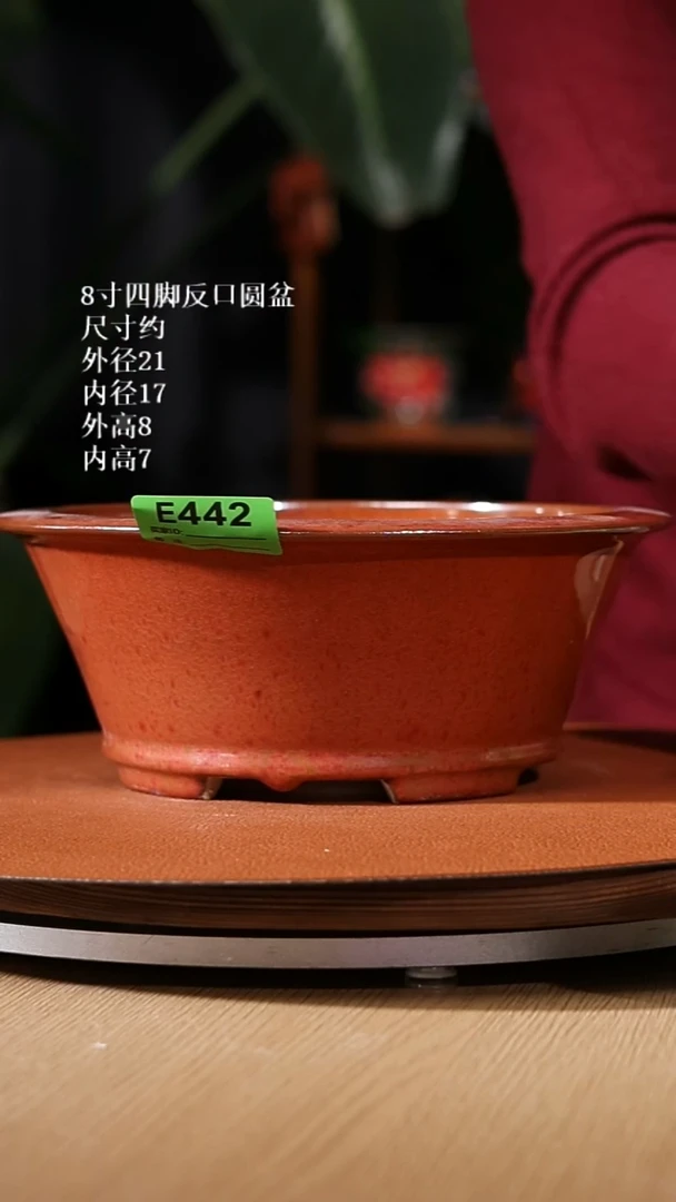 【石湾花盆】8寸四脚反口圆盆442【主播力荐款】