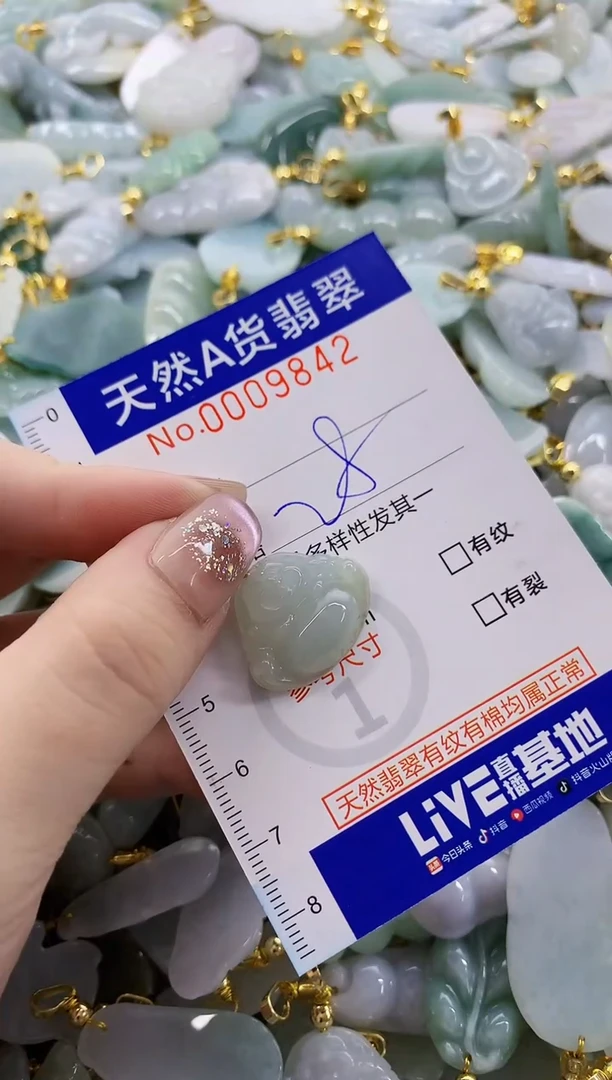 颈饰未镶嵌翡翠天然A货翡翠