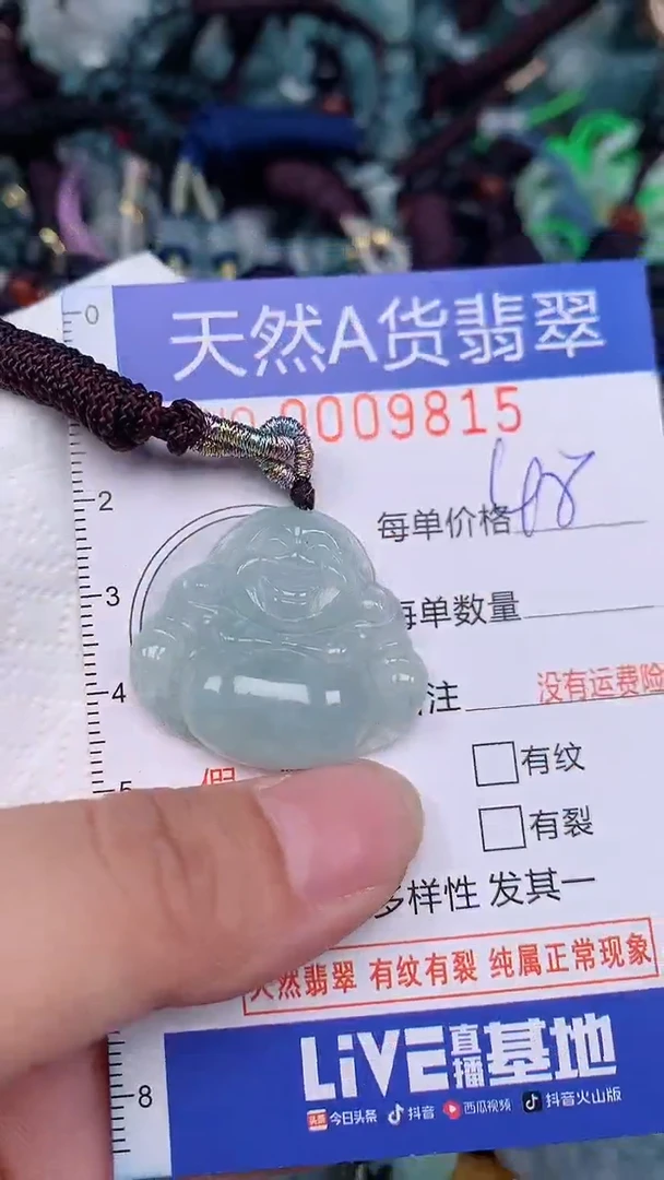 翡翠未镶嵌颈饰...0009815