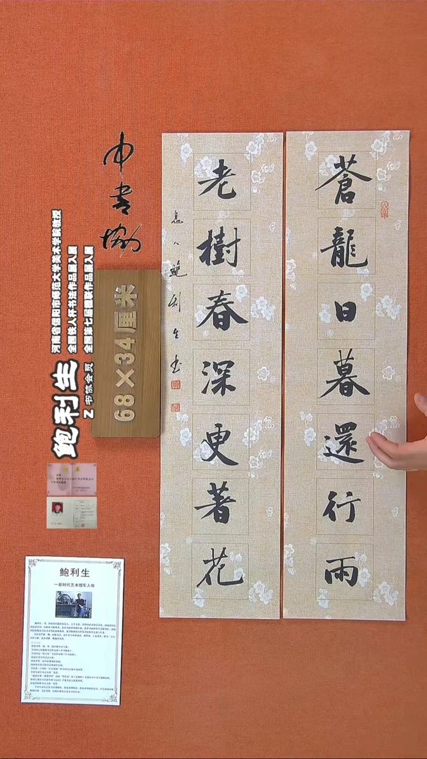 【闪购商品】书法65鲍利生书法作品