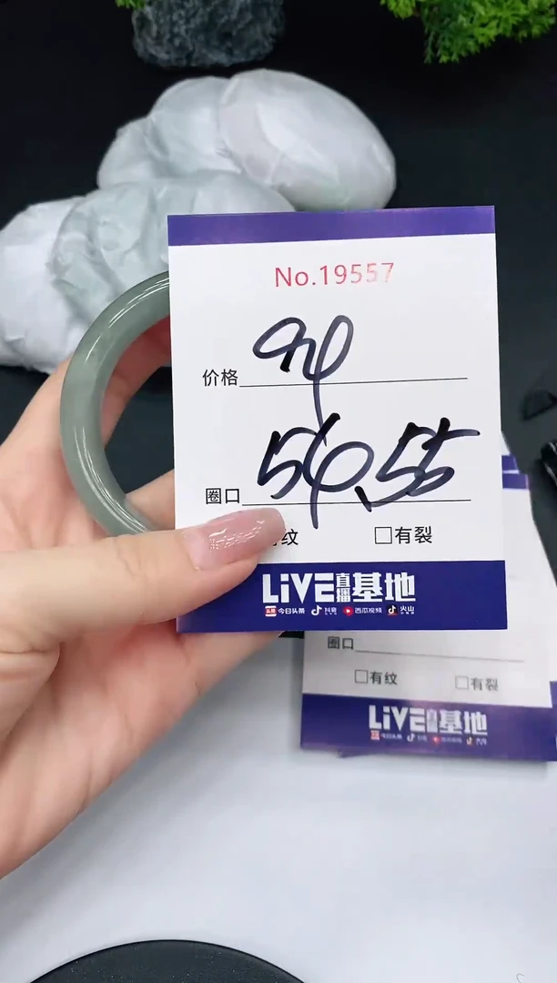 未镶嵌手镯翡翠19557