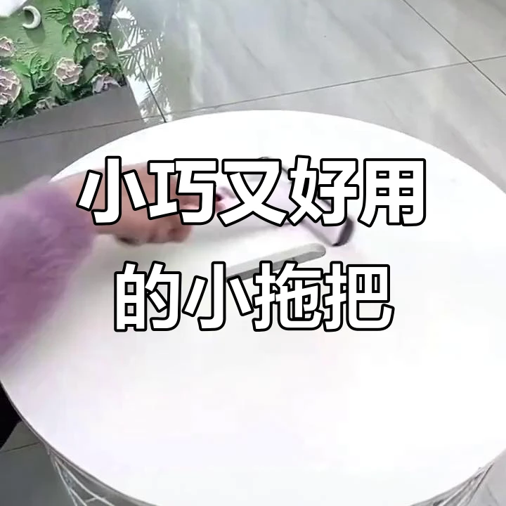迷你拖把干湿两用迷你拖把免手洗拖把