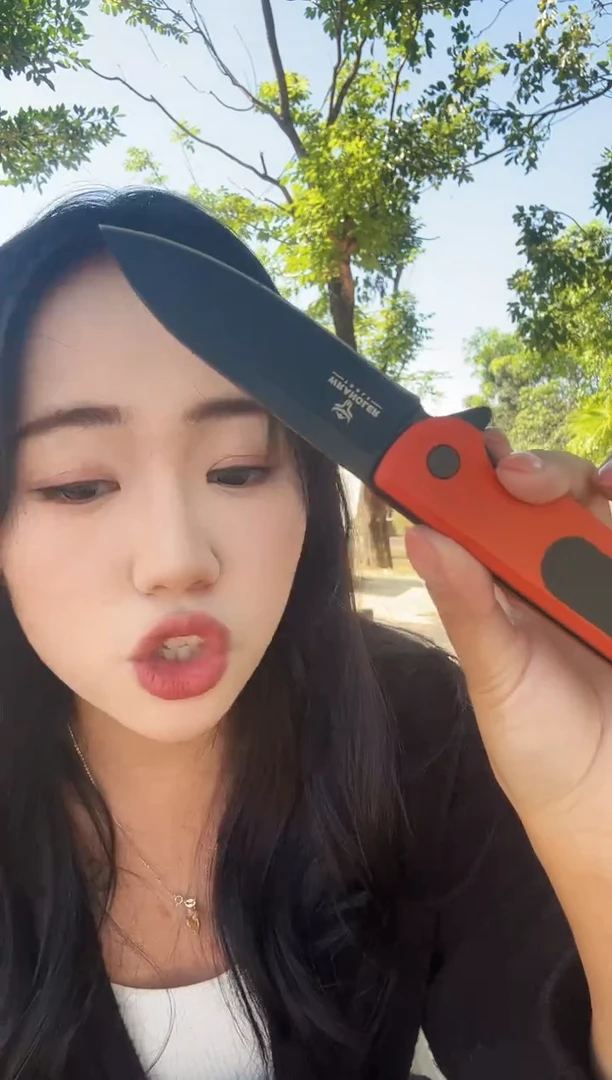 G10手柄 D2主刀  KL278