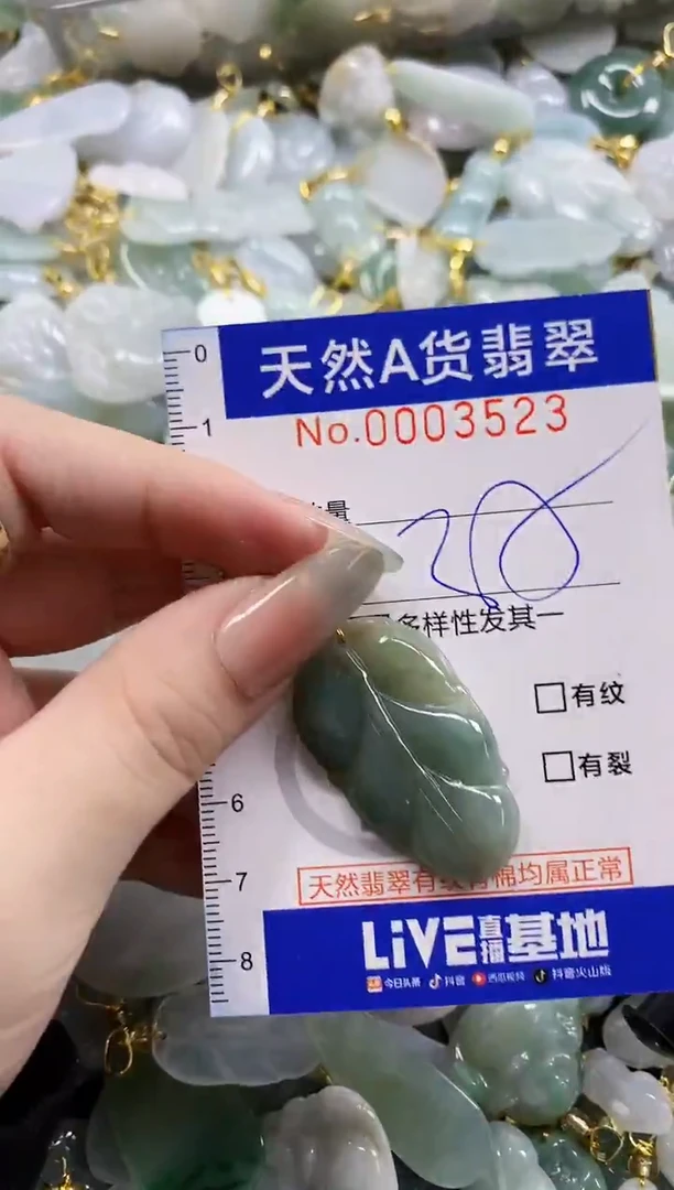 颈饰未镶嵌翡翠天然A货翡翠