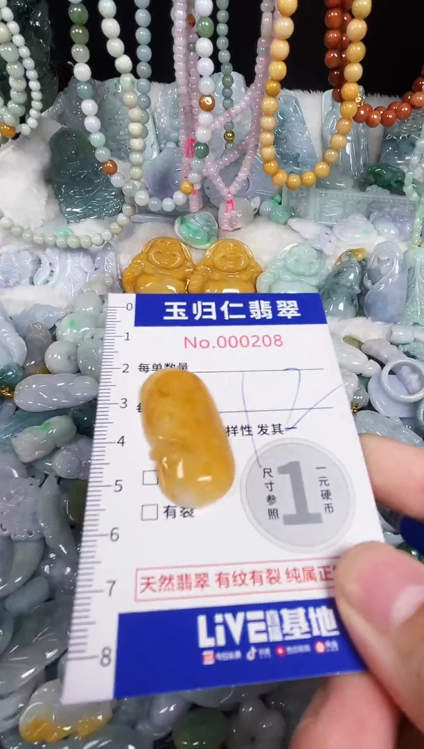 颈饰未镶嵌翡翠5