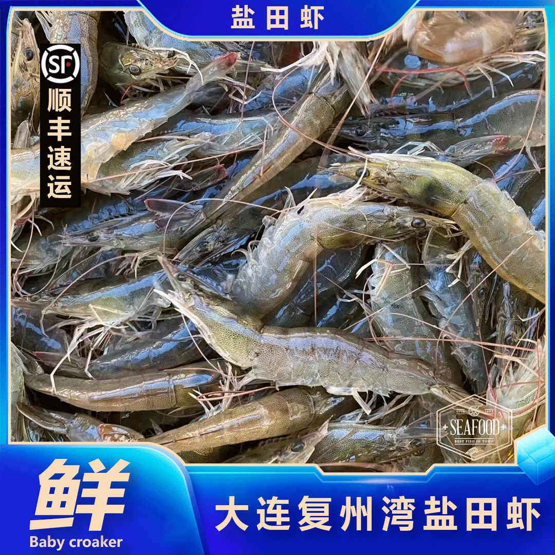 新【大个头】大连复州湾盐田虾3斤每斤25-30只左右顺丰包邮海鲜大虾