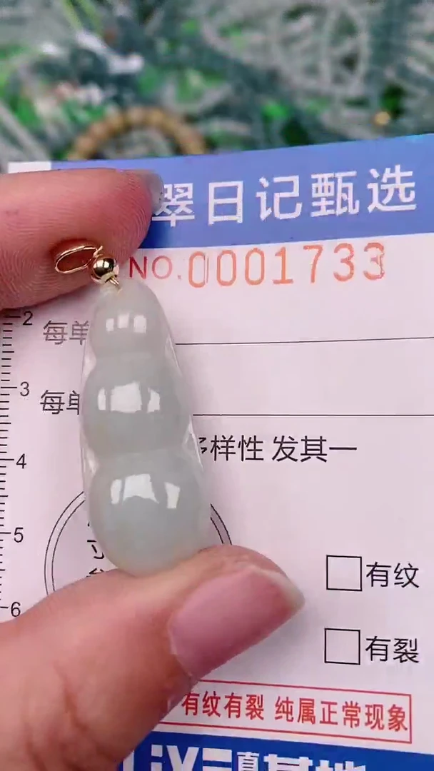 【闪购商品】翡翠颈饰未镶嵌00001733